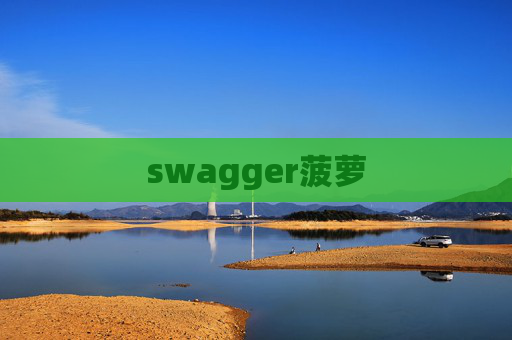 swagger菠萝 swagger菠萝